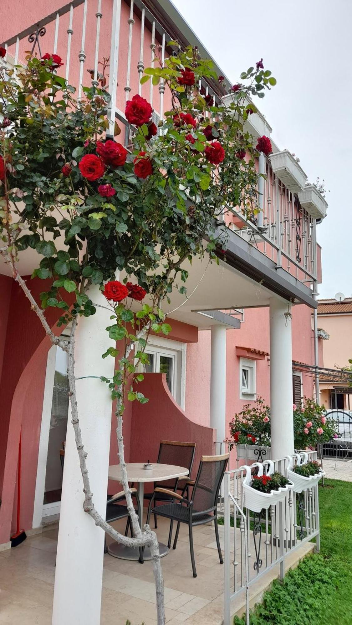 Apartments Dragica Porec Ngoại thất bức ảnh